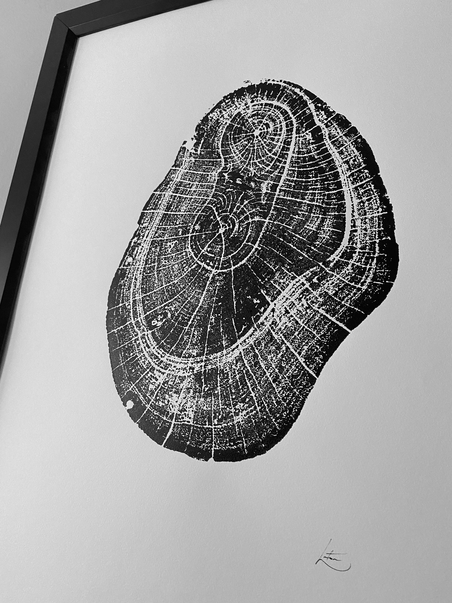 Hawaii Mango Tree, Tree ring print from Hawaii, Tree stump art, 18x24 inch woodcut, handmade by Erik Linton